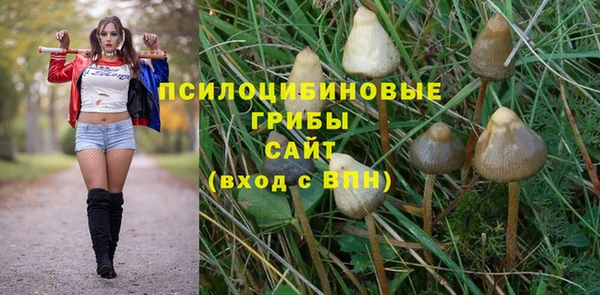 твердый Кодинск