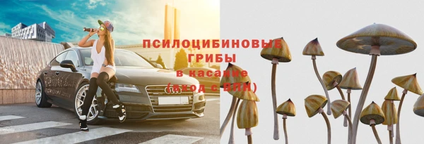 твердый Кодинск