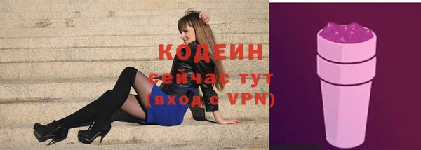 гашик Каменка