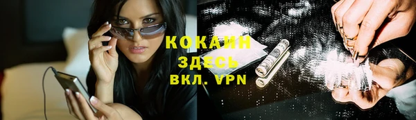твердый Кодинск