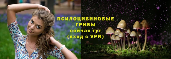 гидра Волосово