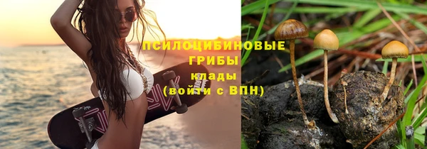 прущая мука Козельск